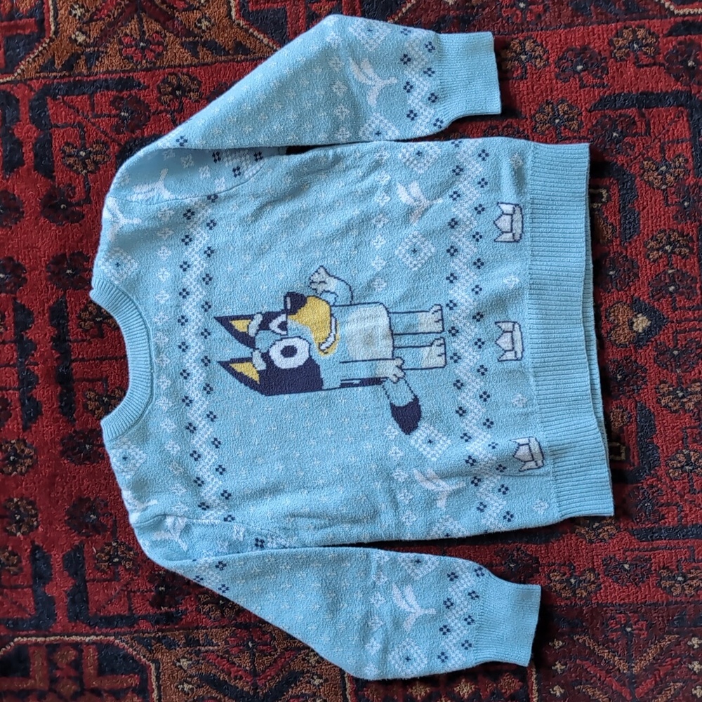 Blue Bluey Sweater -5T